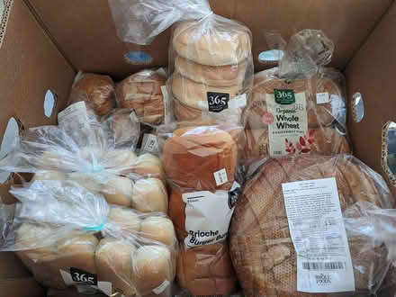 Photo of free breads pick up today Thursday (Ann Arbor near Hillside Terr.) #1