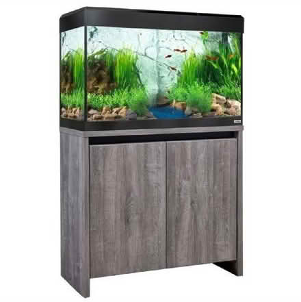 Photo of Fishtank (Allerton L18) #1