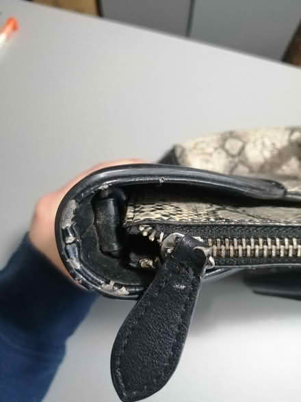 Photo of free Fiorelli handbag (BD2) #3