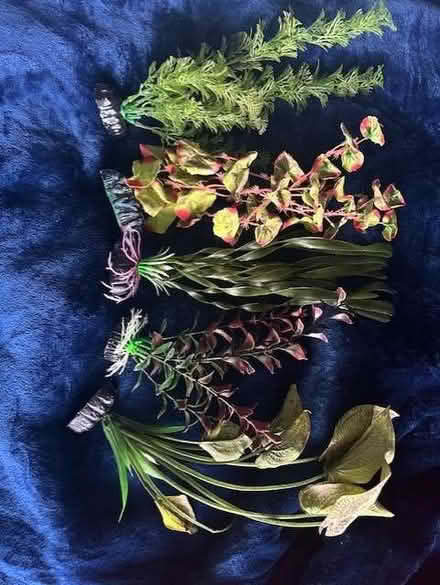 Photo of free Artificial aquarium plants (Roby L14) #1