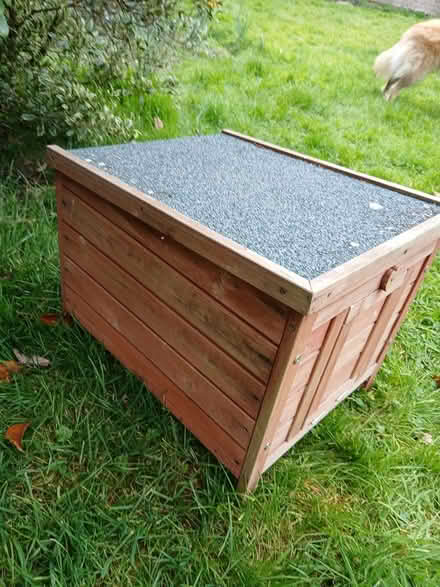 Photo of free Wooden hen or other small pet house (East bergholt CO7) #4