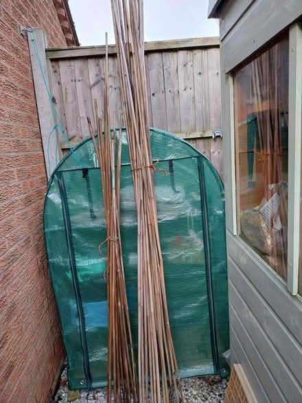 Photo of free Bean support sticks see photo (Brizlincote valley DE15) #1