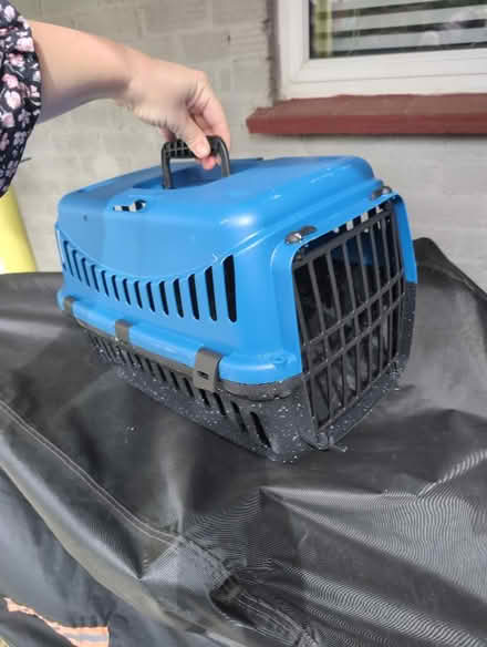 Photo of free Small animal carrier box (Churchgate EN8) #1