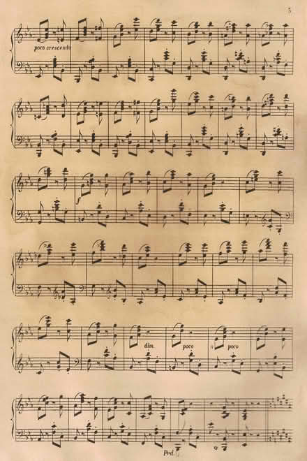 Photo of Books, magazines, sheet music, maps (East Cambridge) #2