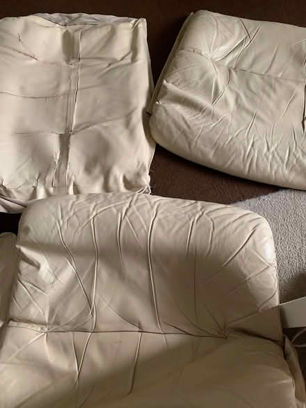 Photo of Leather cream covers (Bucknell SY7) #1