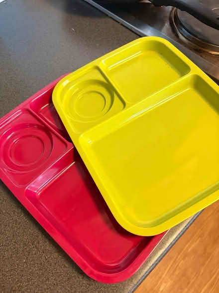 Photo of free Trays and dishes (Islington N1) #2