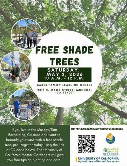 Photo of free Shade Trees (Baker Family Learning Center) #1