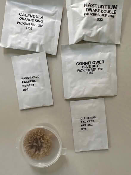 Photo of free Seeds (CO4 9 Colchester) #1