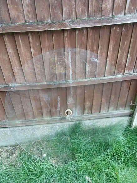 Photo of free Replacement glass table top (East bergholt CO7) #1