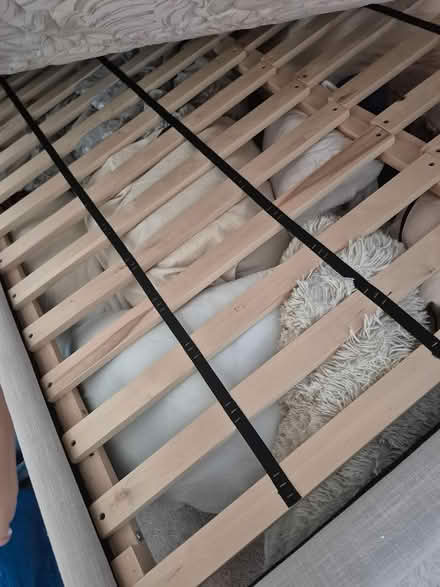 Photo of free West Elm Bed Frame (65 turntable cres) #2