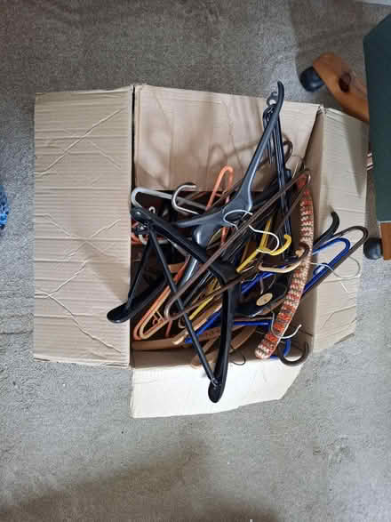 Photo of free Box of clothes hangers (Tunbridge Wells - Dunorlan) #1