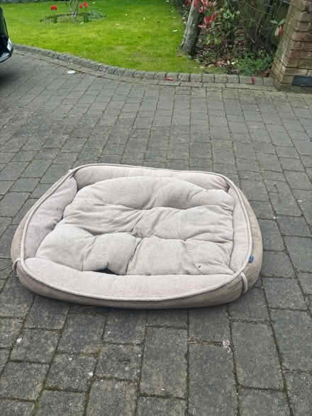 Photo of free Selection of high quality Dog beds (Palmers green, N13) #1
