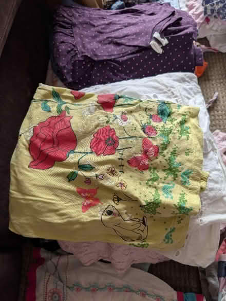 Photo of free Age 3-4 girls clothes (Woodley RG5) #3
