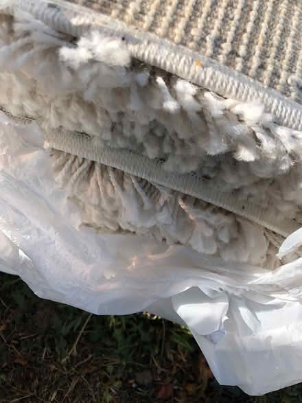 Photo of free White shag rug (West San Jose by Lynbrook High) #2