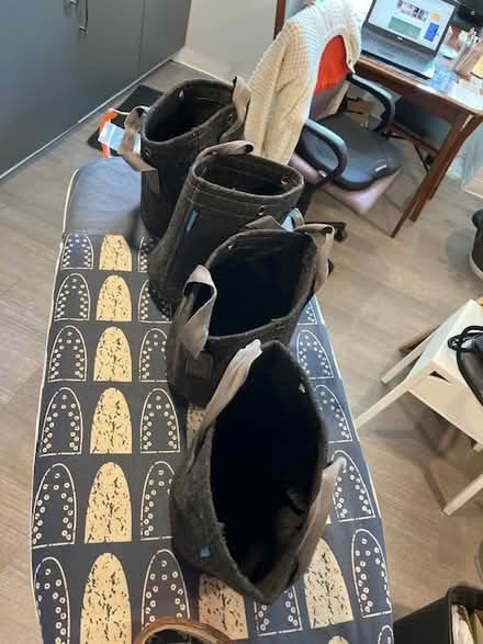 Photo of free 4 fabric grow bags (Golden Triangle) #2