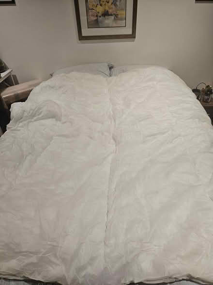 Photo of free Double Duvet (SW11) #1
