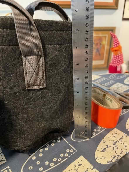 Photo of free 4 fabric grow bags (Golden Triangle) #4