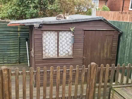 Photo of free Garden shed (Ware SG12) #1
