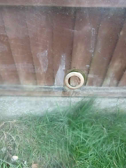 Photo of free Replacement glass table top (East bergholt CO7) #3