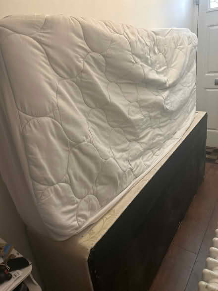 Photo of free Single Bed (Erith DA8) #2