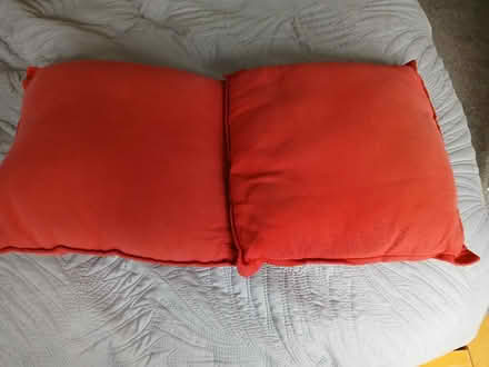 Photo of free 4 cushions (Common Edge FY4) #1