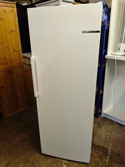 Photo of free BOSCH Tall Freezer (Upper Cwmbran NP44) #1
