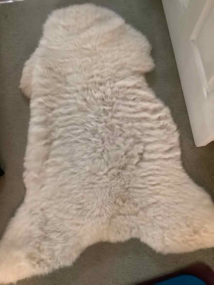 Photo of free Sheepskin rug (Lower Earley RG6) #2