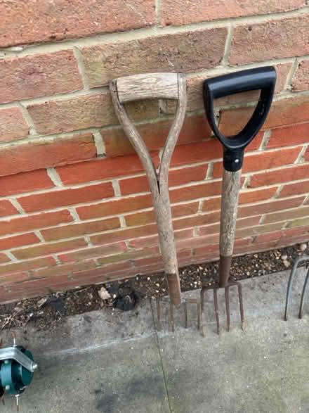 Photo of free garden folks (BR5) #1