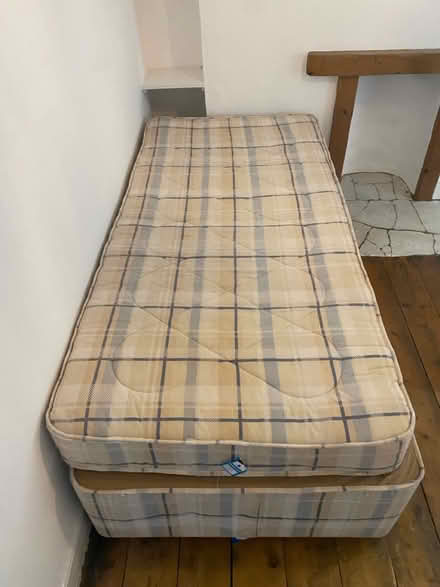 Photo of free Single bed with pull-out mattress (Brixham TQ5) #1