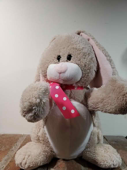 Photo of free Mechanical singing bunny (Near Experimental Farm) #1
