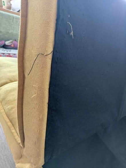 Photo of free Yellow click clack sofa bed (Radclyffe Park M50) #4