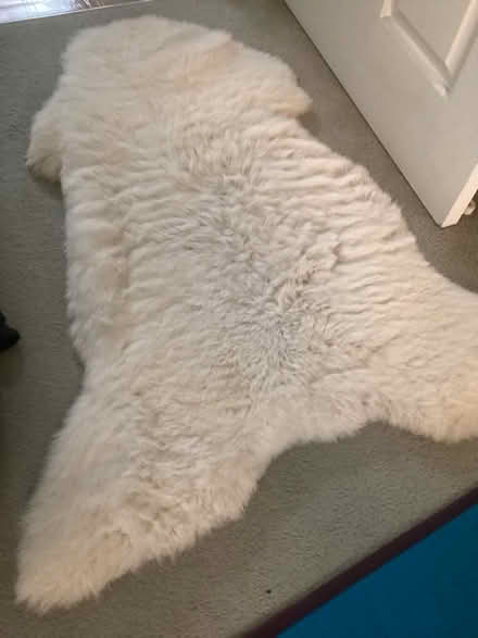 Photo of free Sheepskin rug (Lower Earley RG6) #1