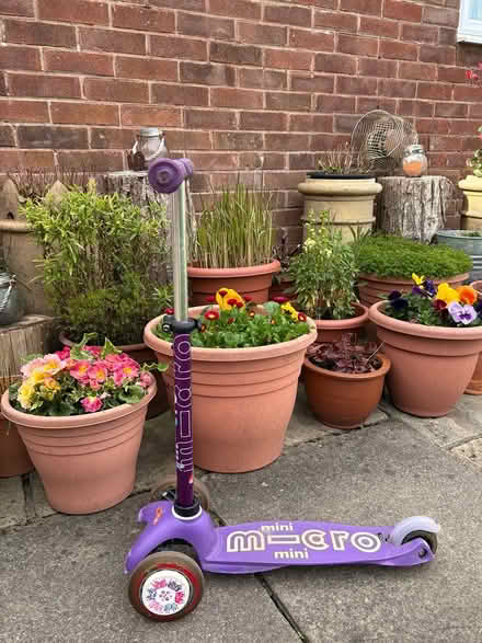 Photo of free Kids Micro Mini Scooter (Swindon SN5) #4