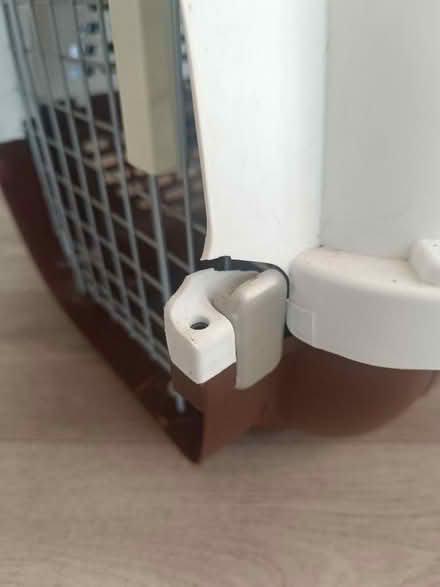 Photo of free cat/dog carrier (Ashingdon SS4) #2