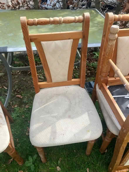 Photo of free 6x dining room chairs (Lower Stondon SG16) #2
