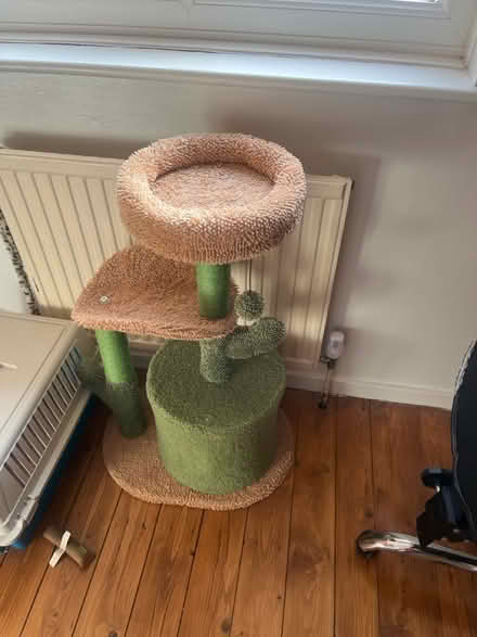 Photo of free Cat tree (New Cross SE14) #1