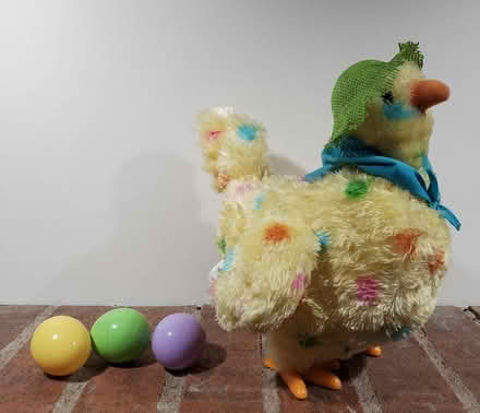 Photo of free Hallmark Egg Laying Easter Chicken (Near Experimental Farm) #3