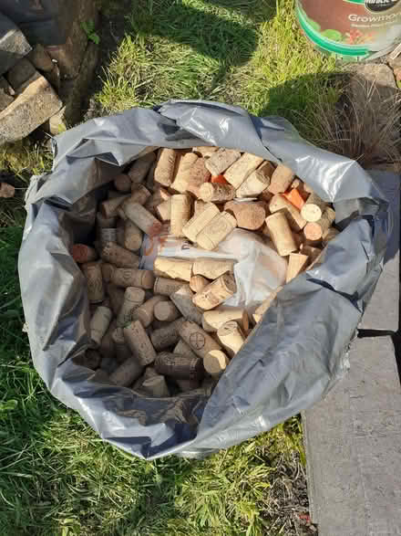Photo of free Large bag of real corks (Slack Lane DE22) #1