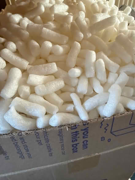 Photo of free Packing noodles (Bispham FY2) #1