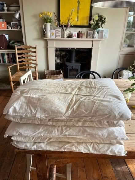 Photo of free 5 Pillows (Lansdown BA1) #1