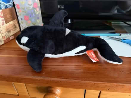 Photo of free Orca plush (Newtown, CT) #1
