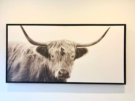 Photo of free Framed Highland Cow Print (Shaw) #1