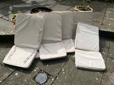 Photo of free Seat cushions (Brentwood CM13) #1