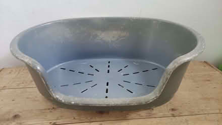 Photo of free dog bed (Chislehurst BR7) #1