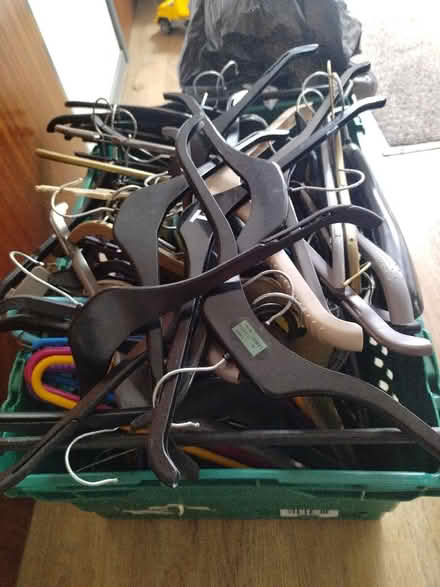 Photo of free Plastic coat hangers (Headington OX3) #1