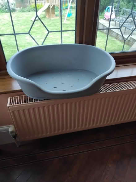 Photo of free Dog bed (Leigh on Sea) #1