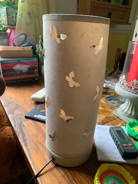 Photo of free Butterfly lamp (Southport PR8) #1