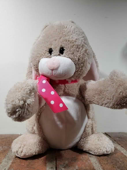 Photo of free Mechanical singing bunny (Near Experimental Farm) #3