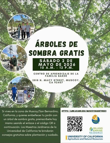 Photo of free Shade Trees (Baker Family Learning Center) #2