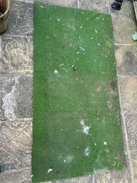 Photo of free Sheet of astroturf (Larkfield ME20) #1